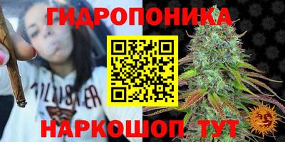 jwh Краснокаменск