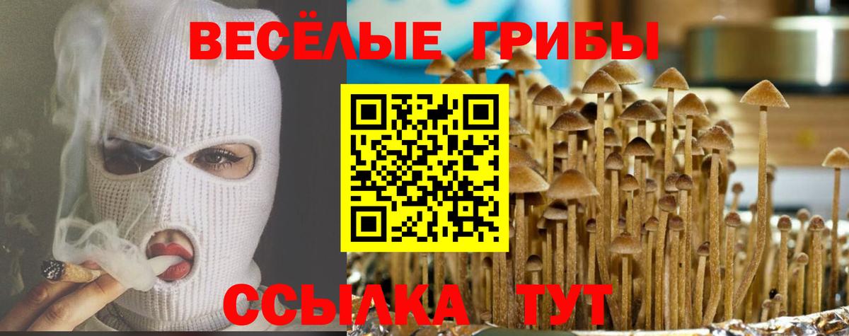Ижевск  Галлюциногенные грибы мухоморы  Вход с VPN  Галлюциногенные грибы мухоморы 